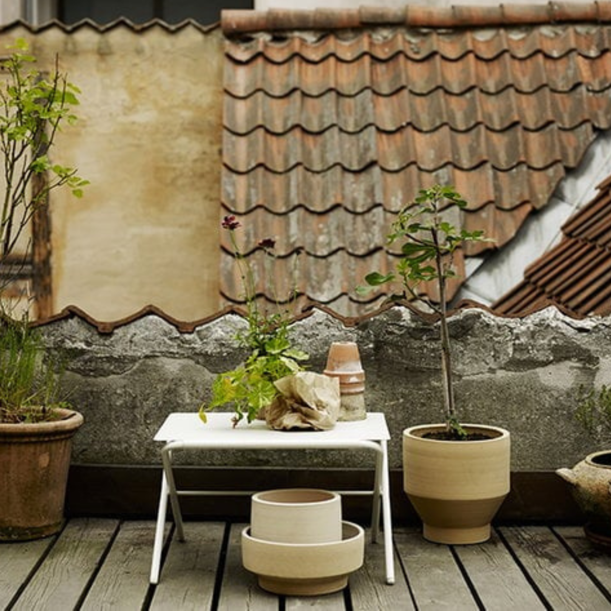 Edge Pot Terracotta / Sierra Yellow