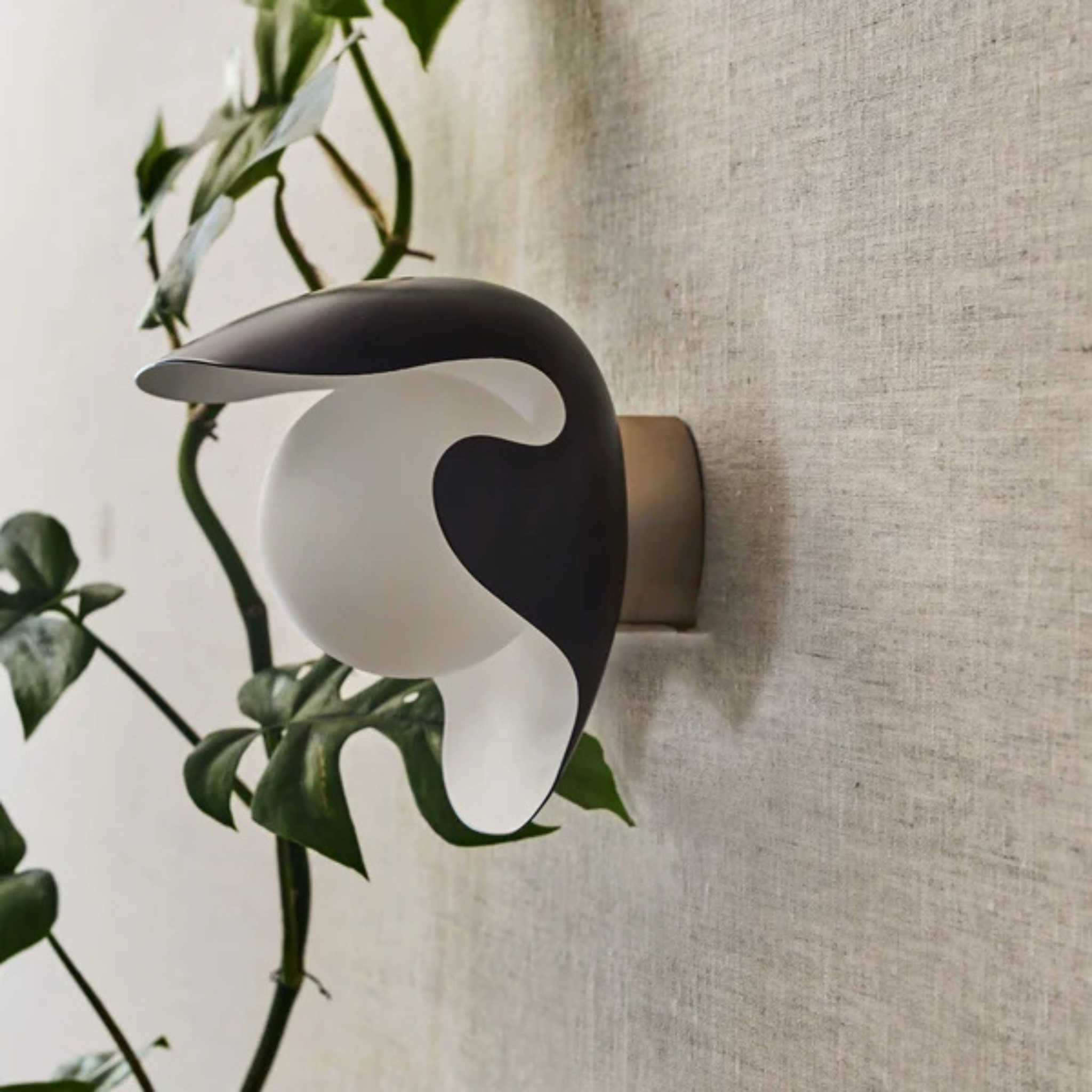 PS38 Wall Lamp / Ebony Black