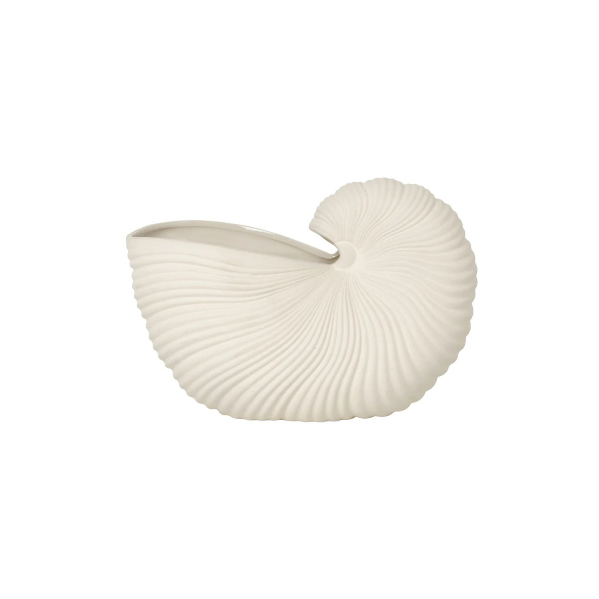 Shell Pot/ off- white