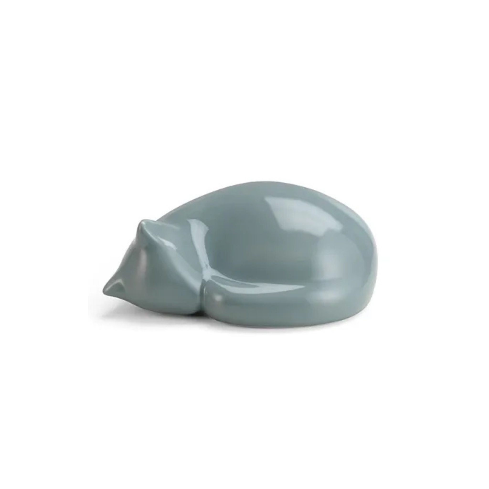 Resting Cat / Light blue