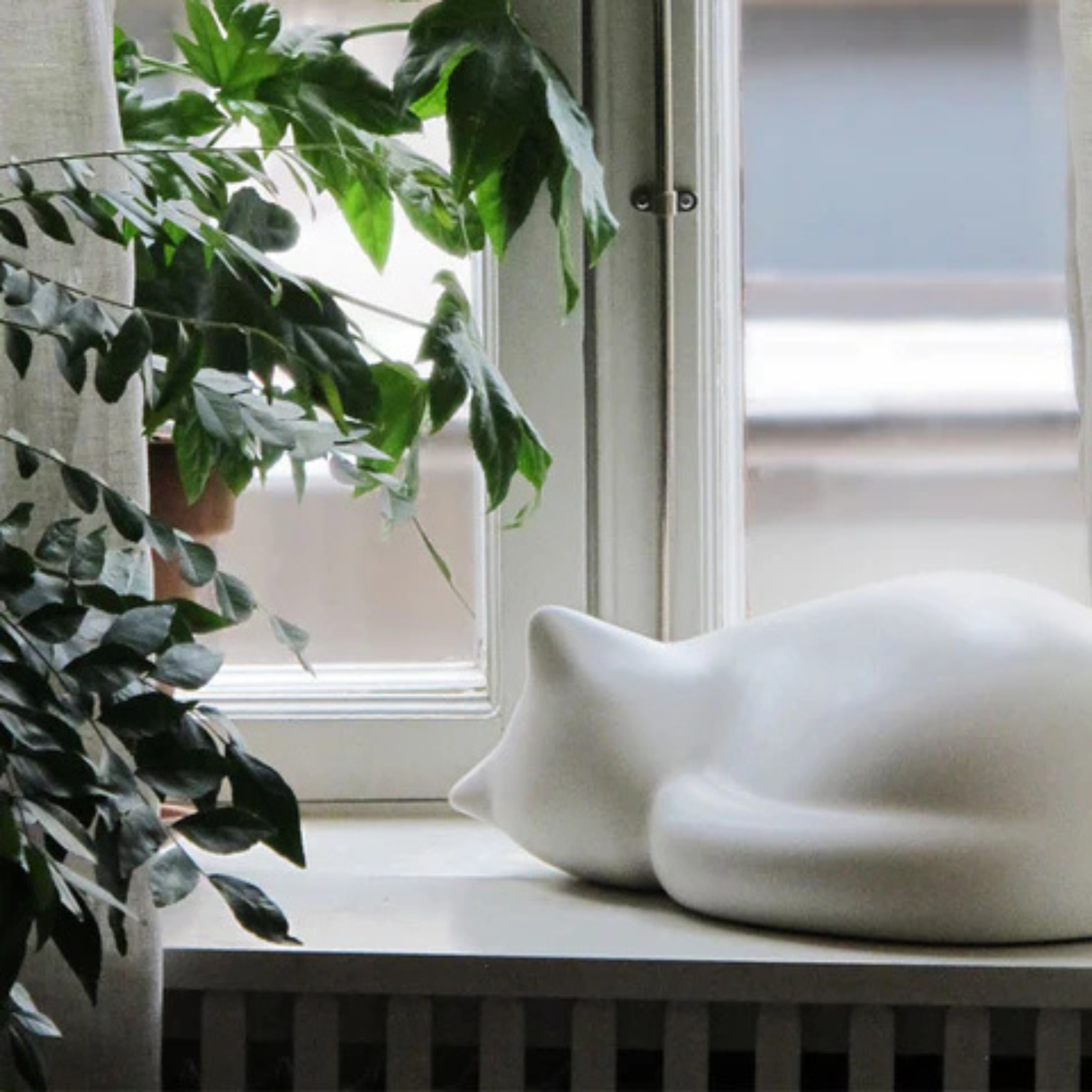 Resting Cat / White